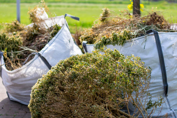 Best Carpet Removal and Disposal  in Shelbyville, KY